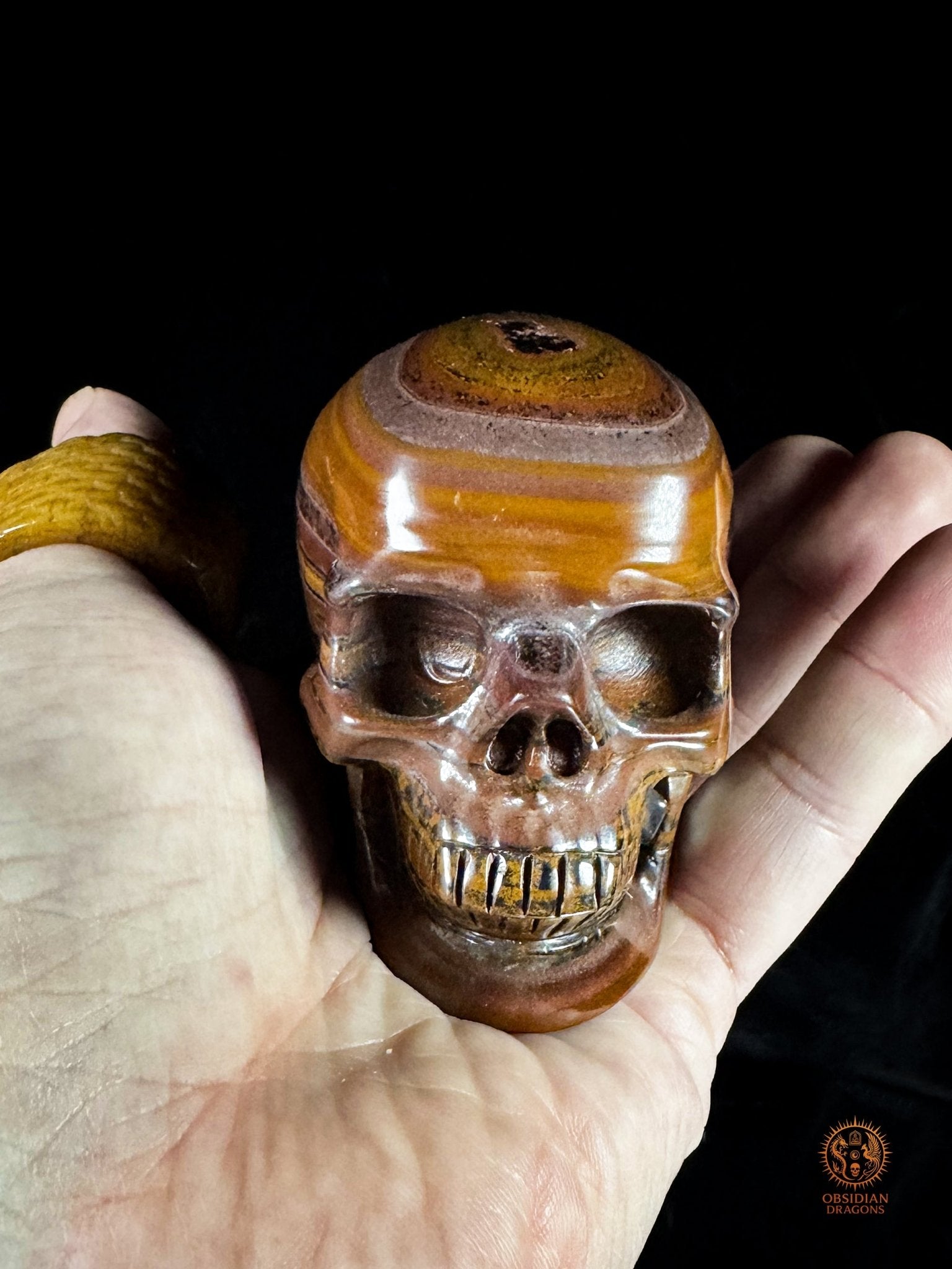 Crâne en œil de fer d’Australie (Tiger Iron) – Pièce unique | obsidian dragons