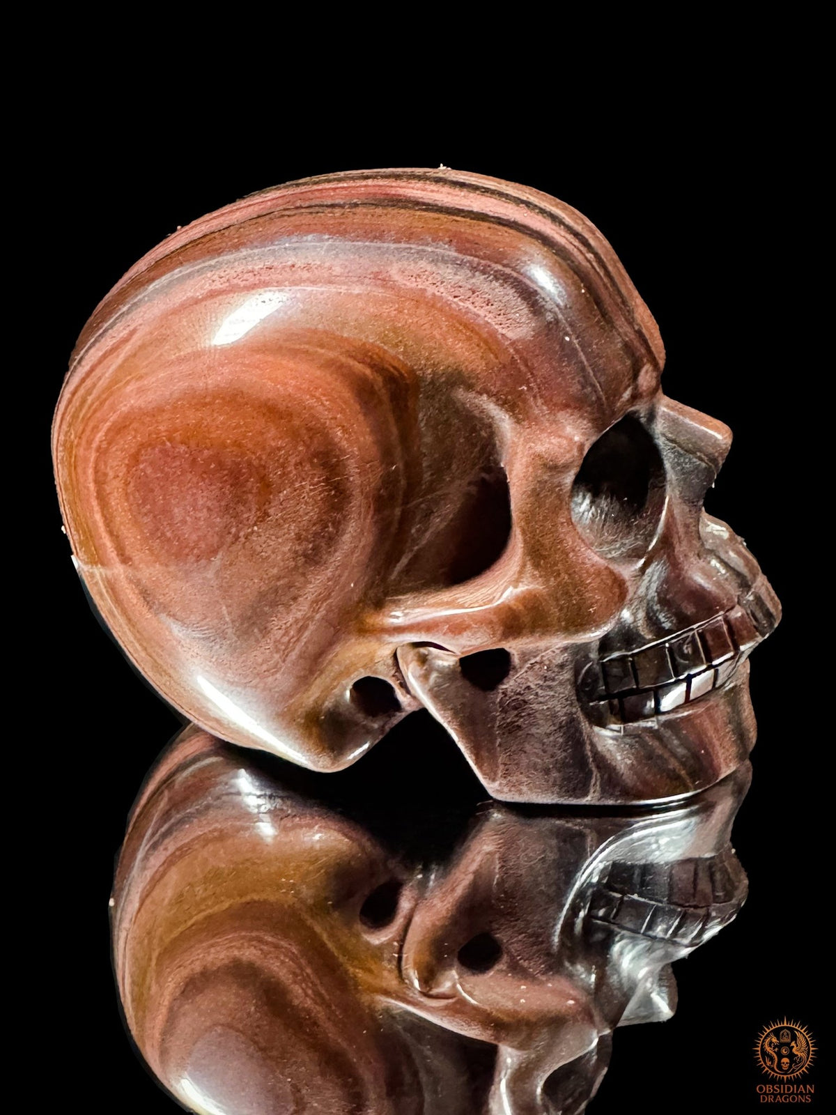 Profil d’un crâne en œil de fer, visage tourné vers la droite, aux larges courbes rouge brun et aux reflets métalliques - Obsidian Dragons