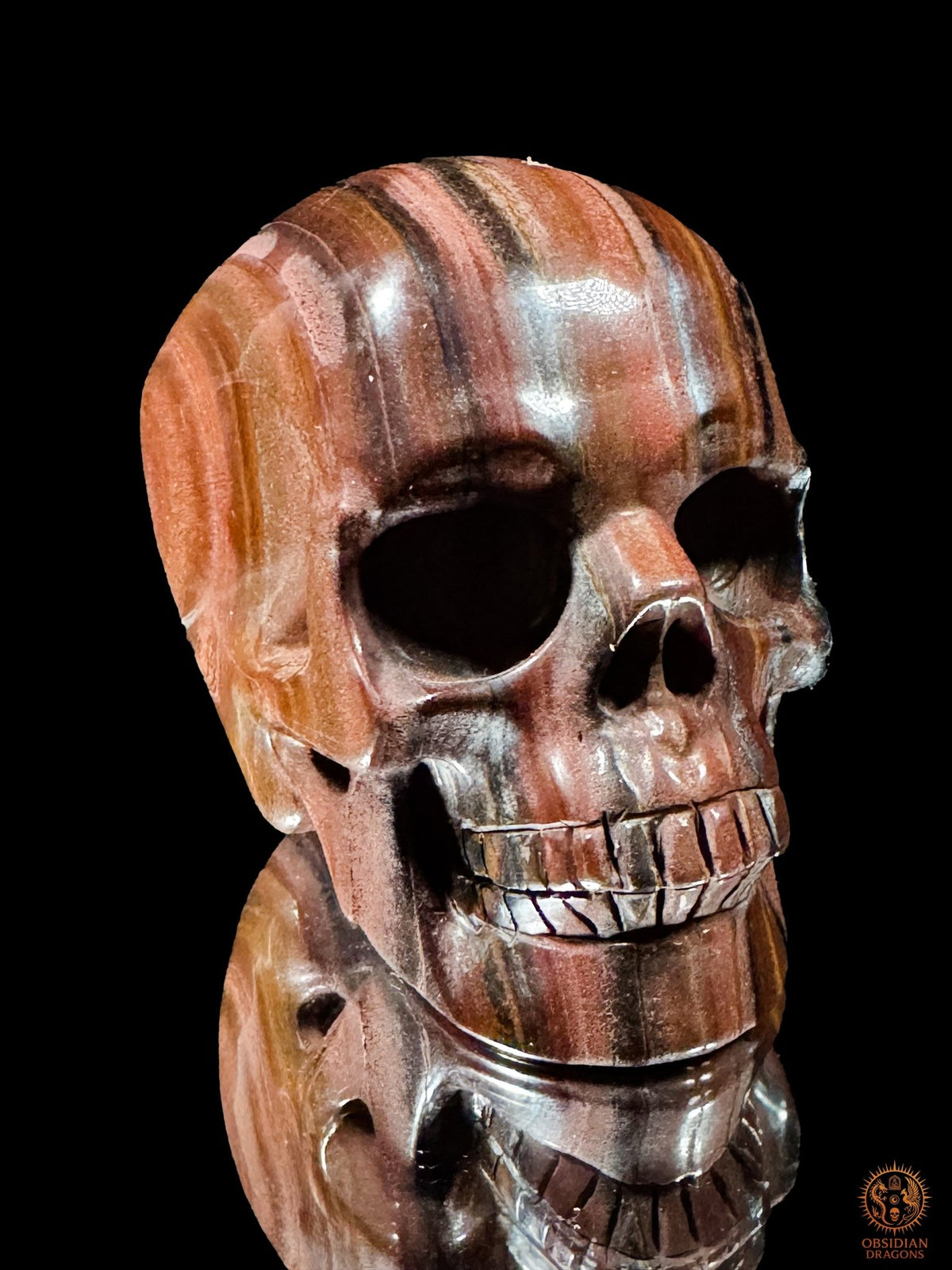 Crâne en œil de fer vu de trois quarts, visage tourné vers la droite, aux nuances cuivrées et aux bandes minérales sombres.