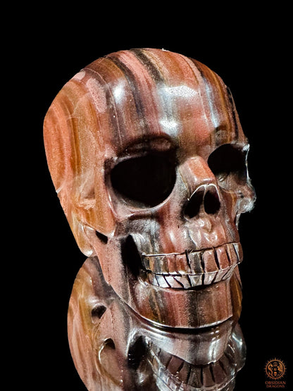 Crâne en œil de fer vu de trois quarts, visage tourné vers la droite, aux nuances cuivrées et aux bandes minérales sombres.