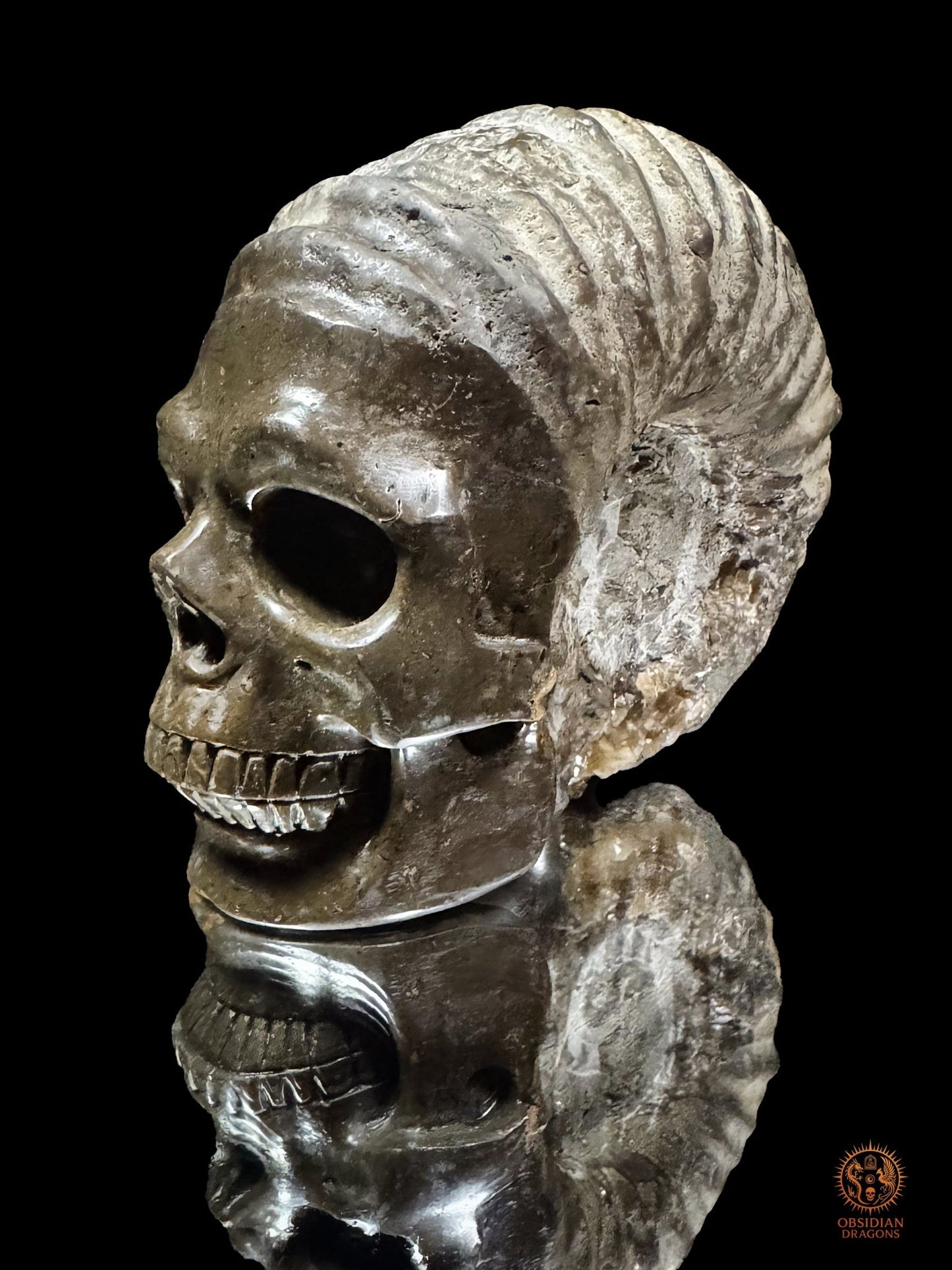 Crâne sculpté dans une ammonite fossile - Rare et unique