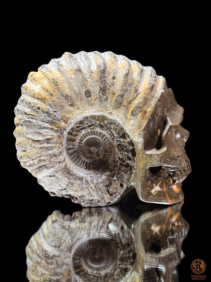 Crâne sculpté dans une ammonite fossile - Rare et unique