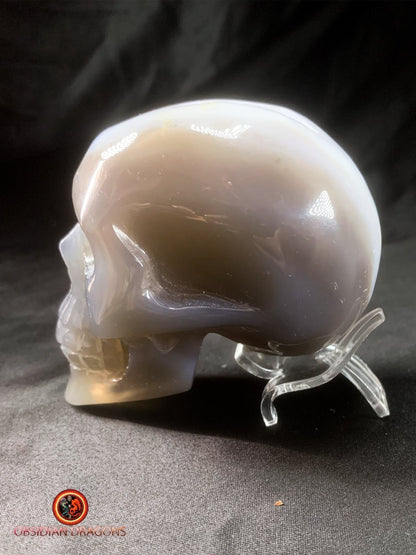 Crâne de cristal- Géode d'améthyste- Unique | obsidian dragons