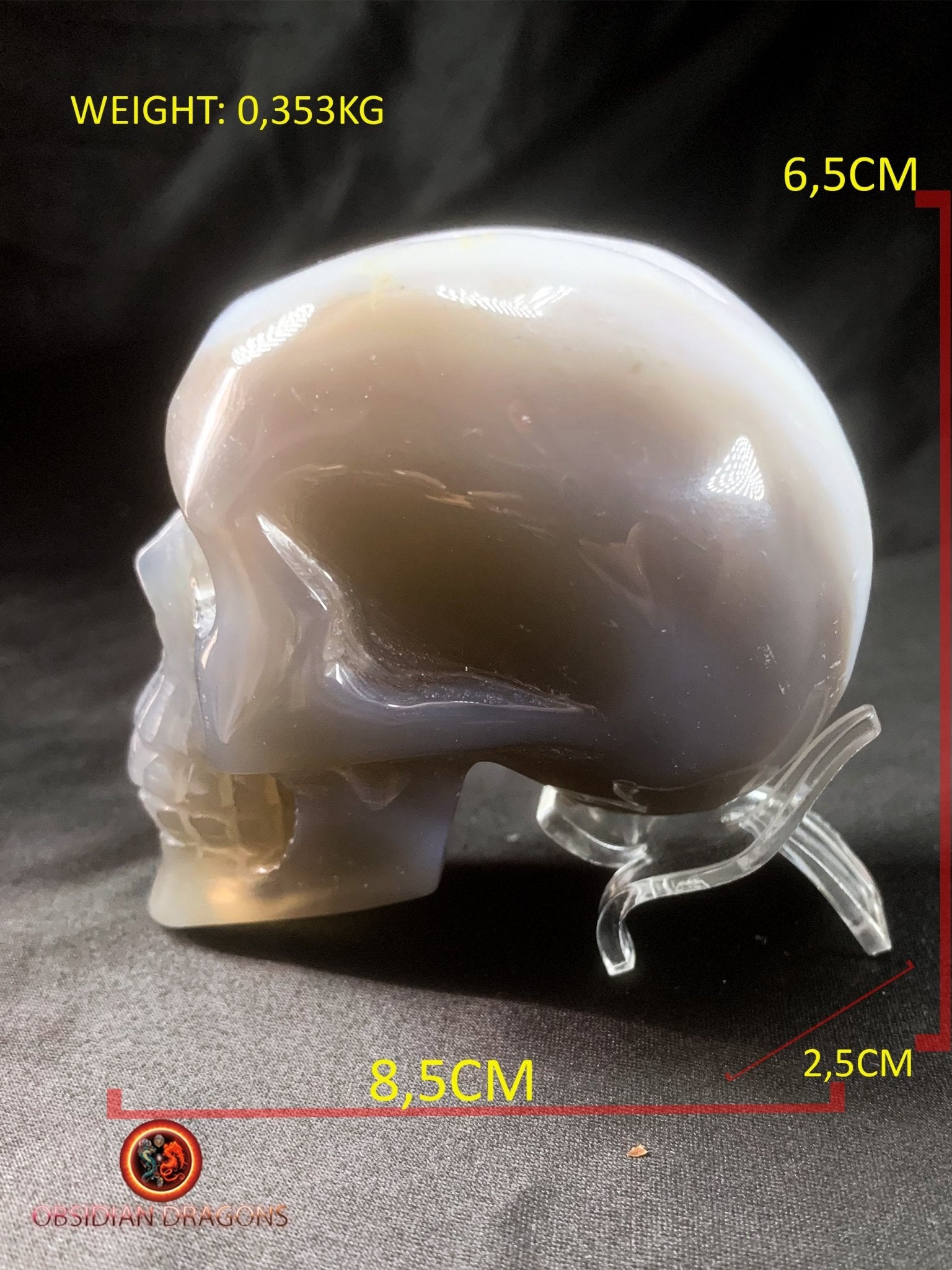 Crâne de cristal- Géode d'améthyste- Unique | obsidian dragons