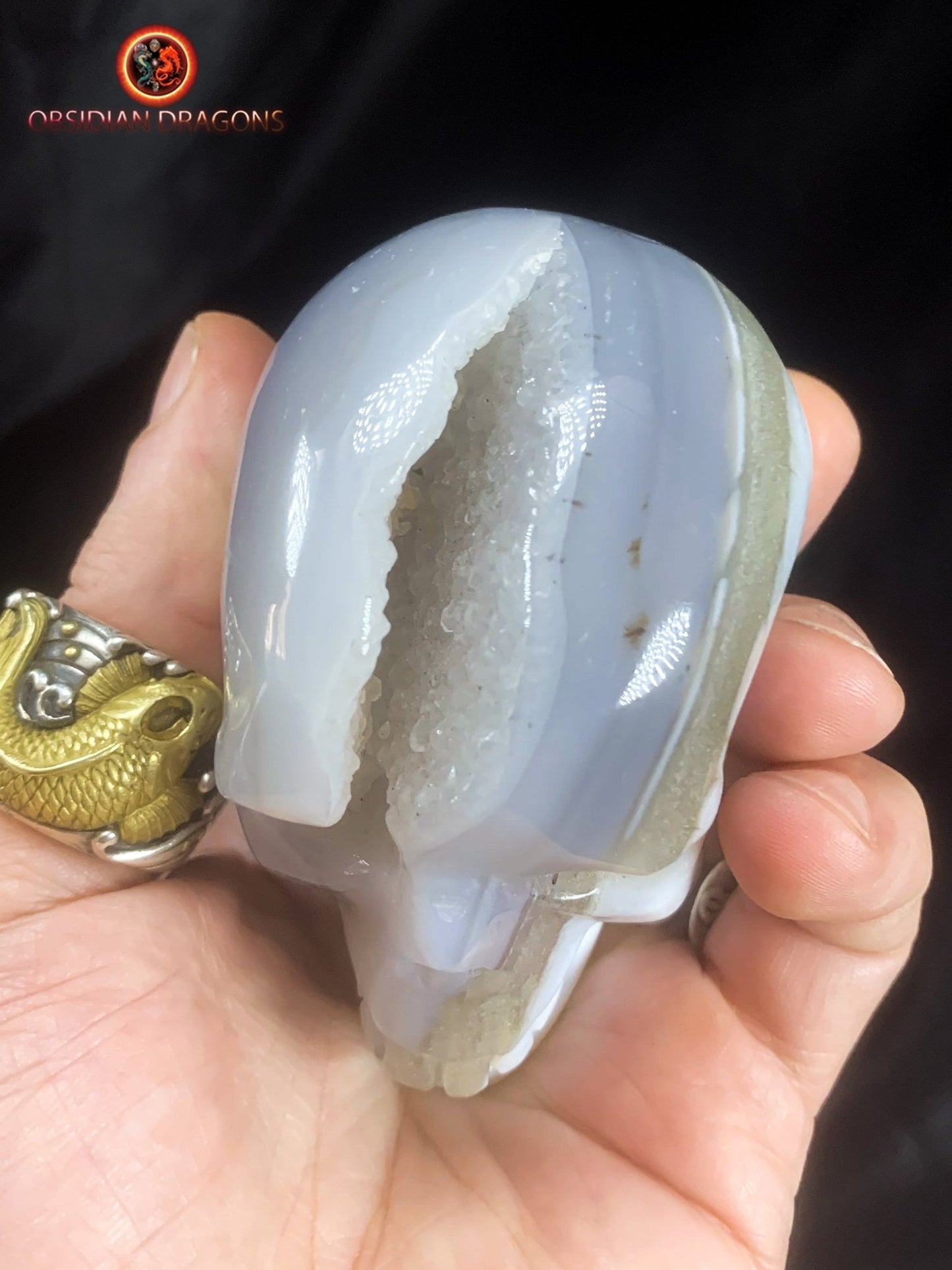 Crâne de cristal unique- Geode de quartz | obsidian dragons