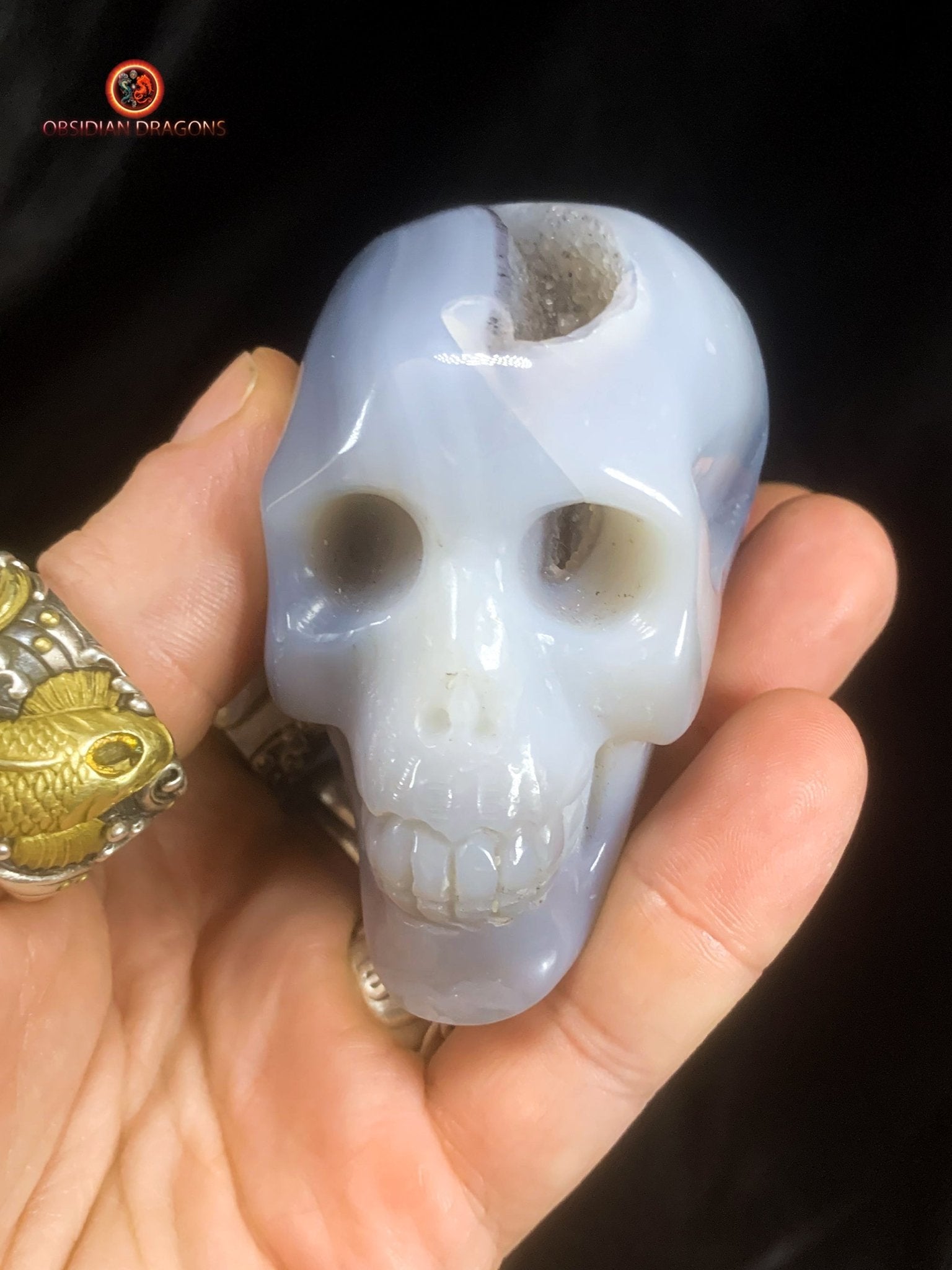 Petit crâne de cristal sculpté dans une géode de quartz | obsidian dragons