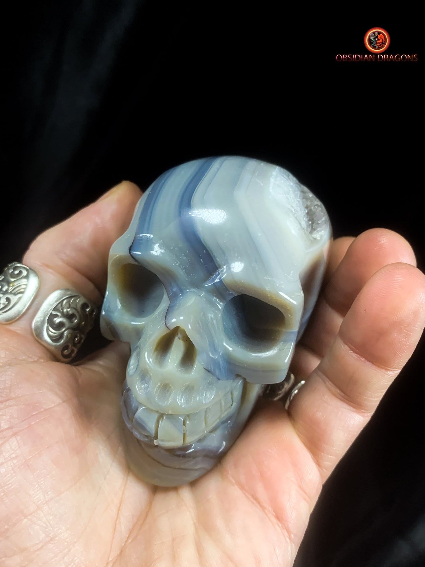 Authentique crâne de cristal - géode de quartz | obsidian dragons