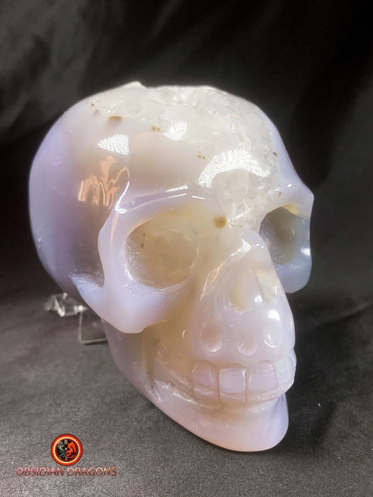 Crâne de cristal- Géode de quartz- Unique | obsidian dragons