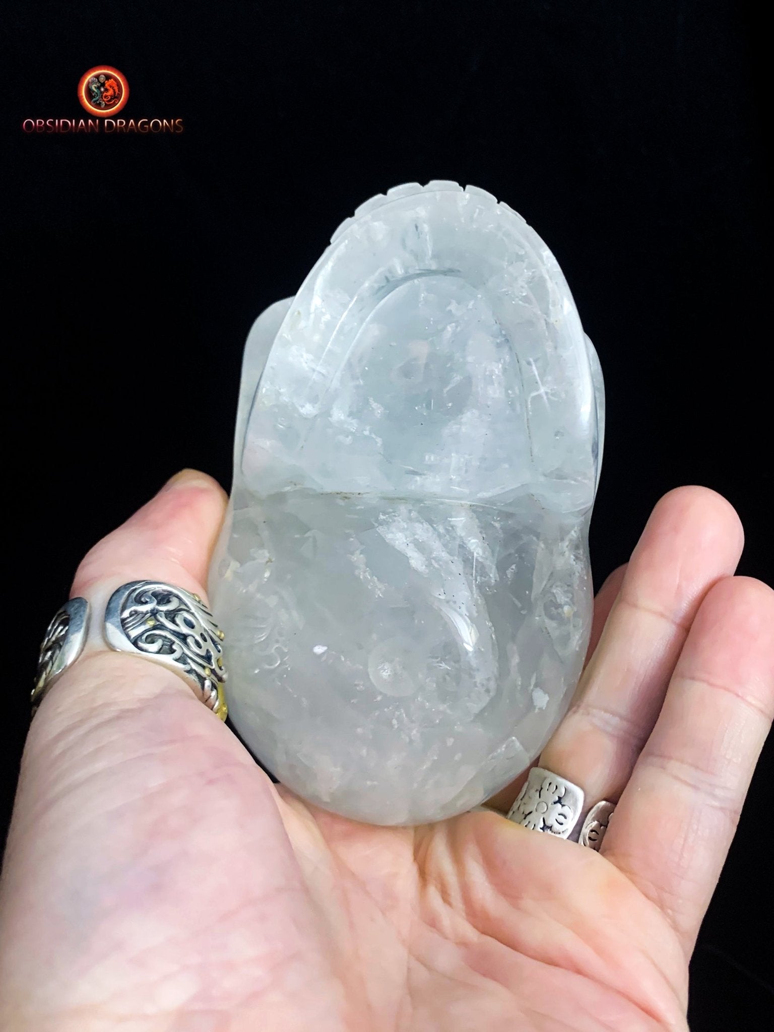 Crâne de cristal en cristal de roche- Atypique | obsidian dragons
