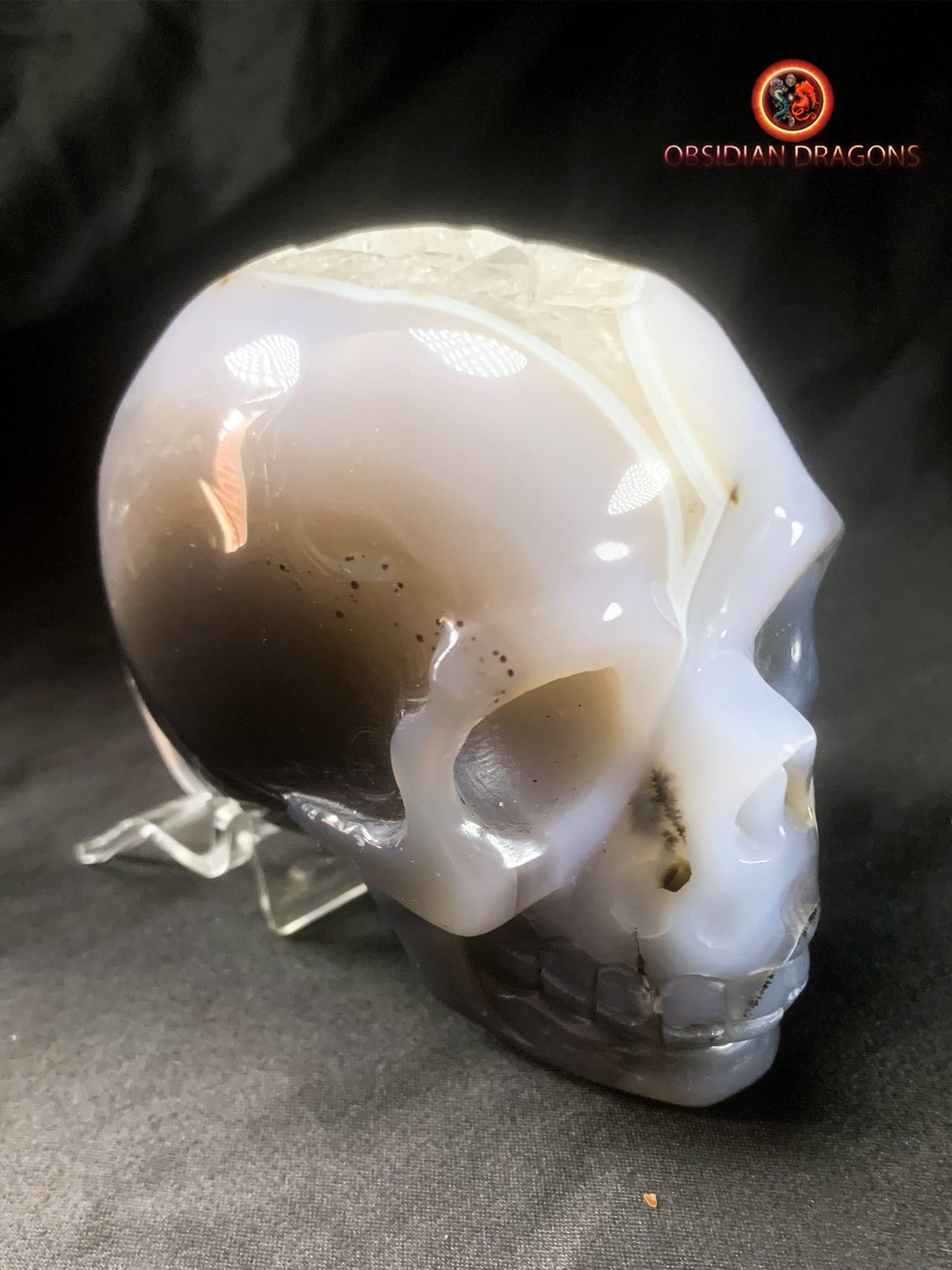 Crâne de cristal sculpté dans une géode de quartz | obsidian dragons