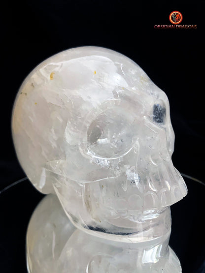 Crâne de cristal en cristal de roche- Atypique | obsidian dragons