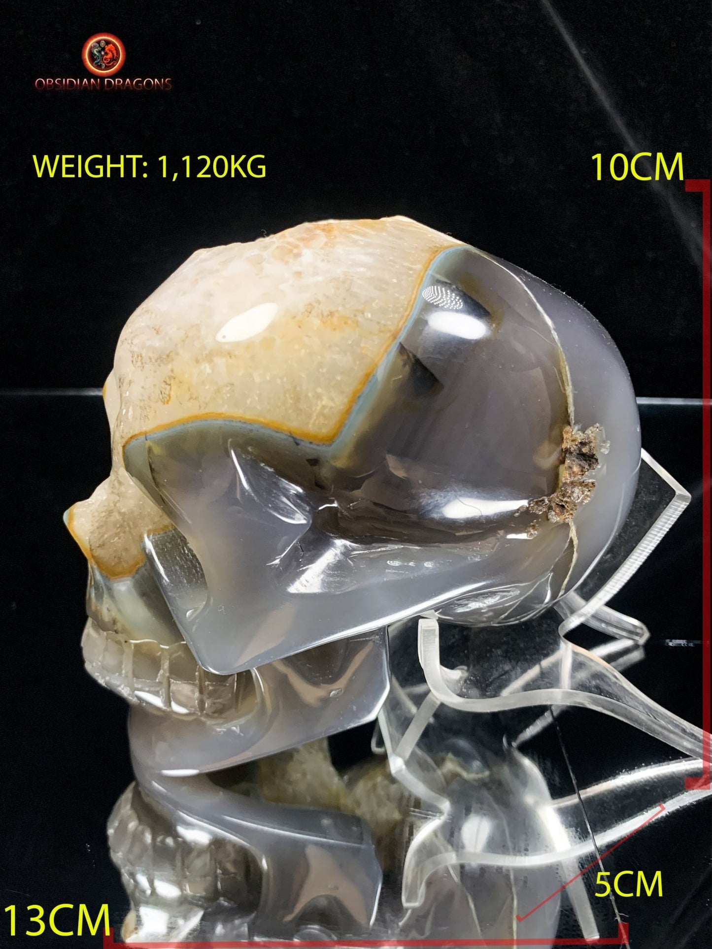 Crâne de cristal- Géode de quartz- Pièce Unique | obsidian dragons