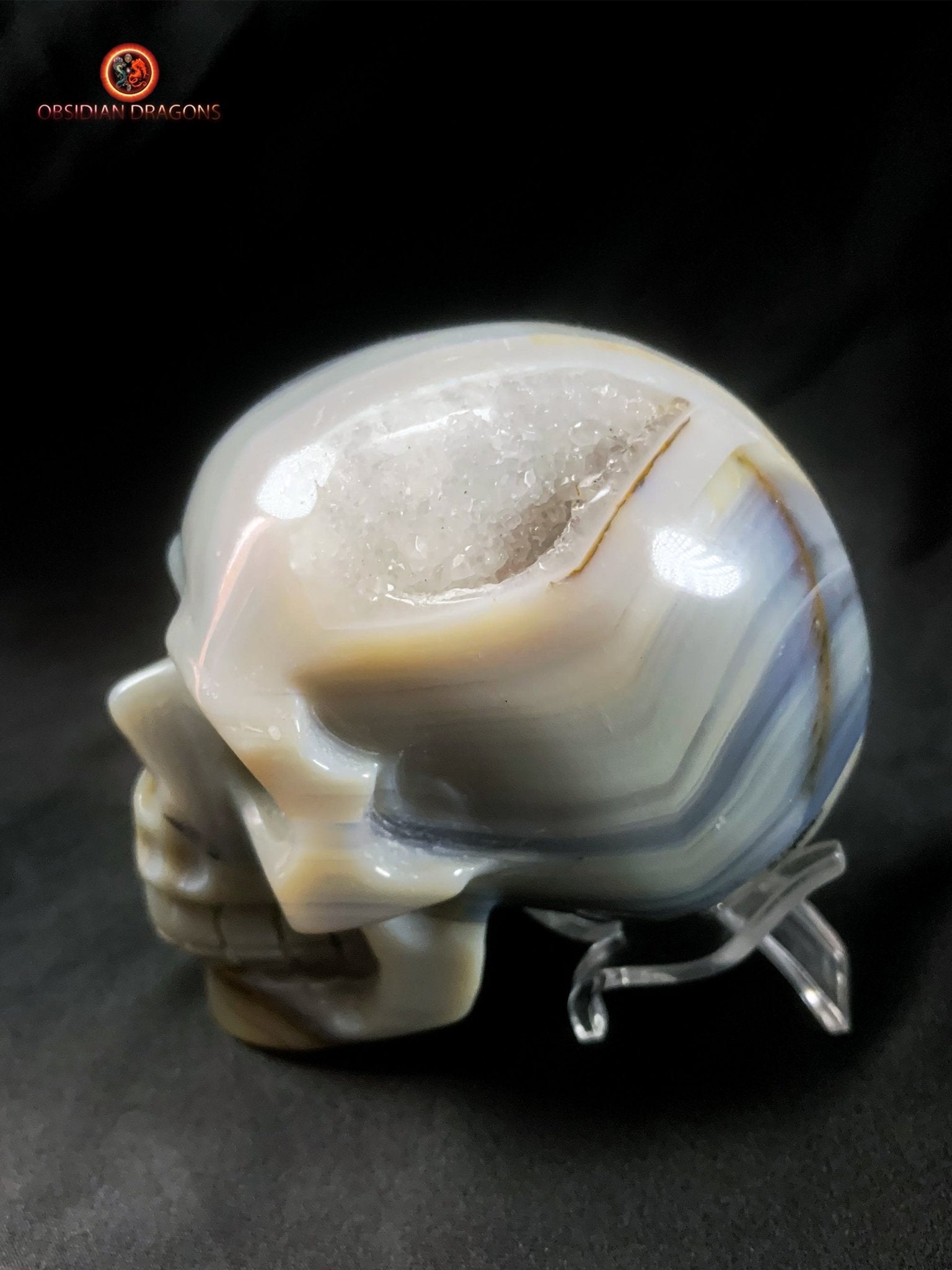 Authentique crâne de cristal - géode de quartz | obsidian dragons