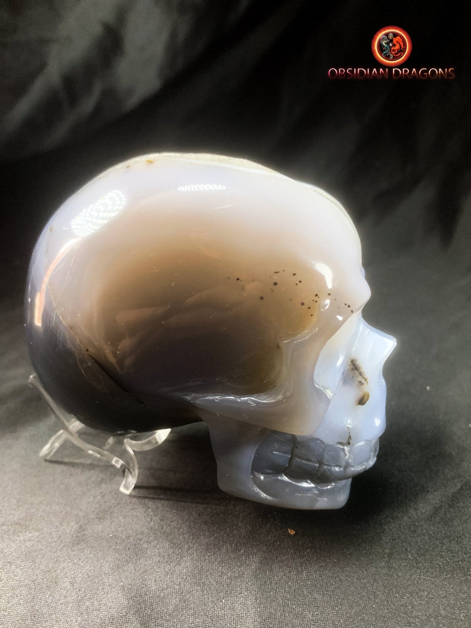 Crâne de cristal sculpté dans une géode de quartz | obsidian dragons