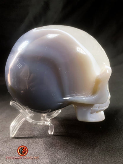 Crâne de cristal dans une géode de quartz- Rare | obsidian dragons