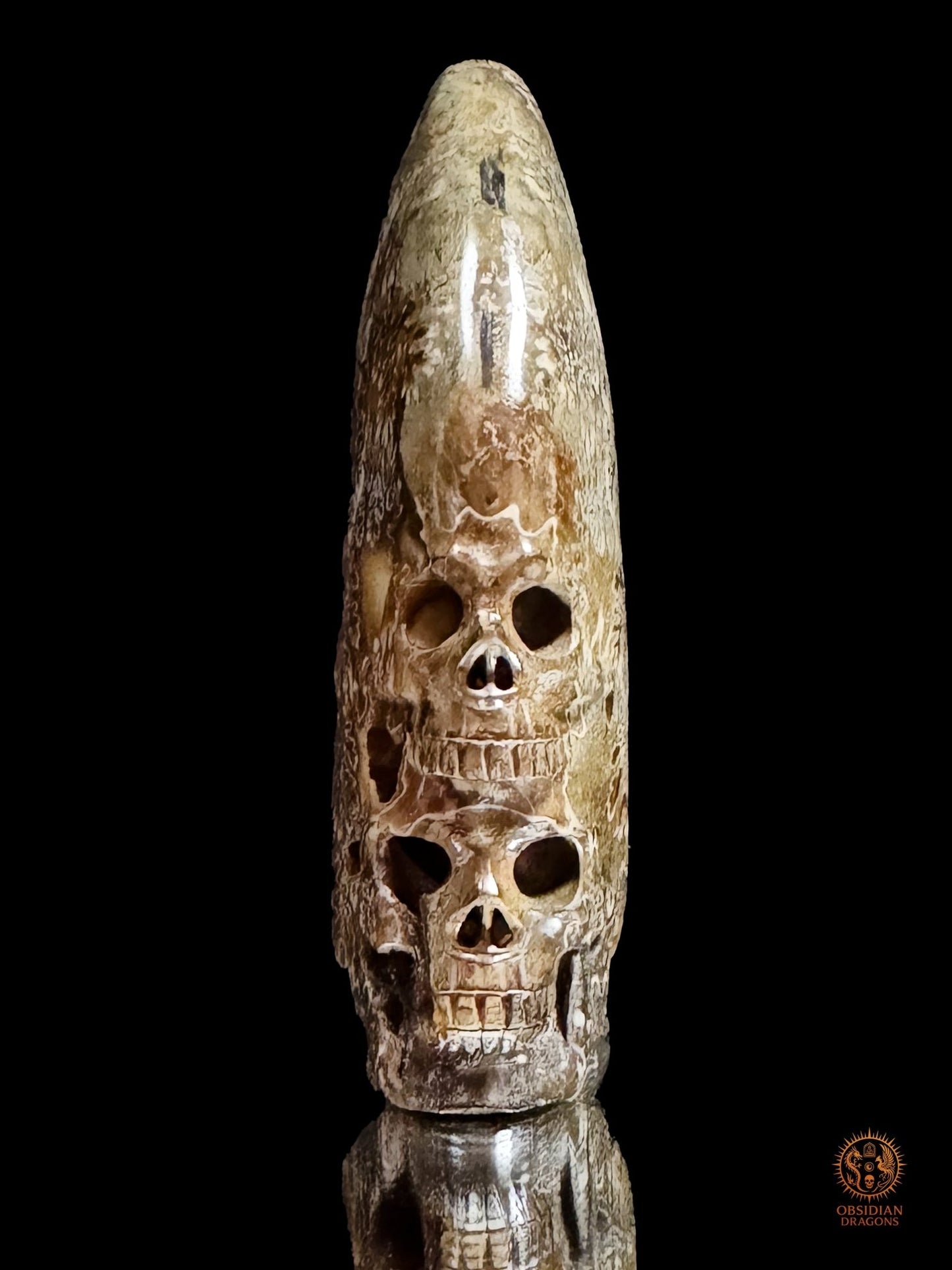 Double crâne sculpté dans une ammonite fossile Cleoniceras