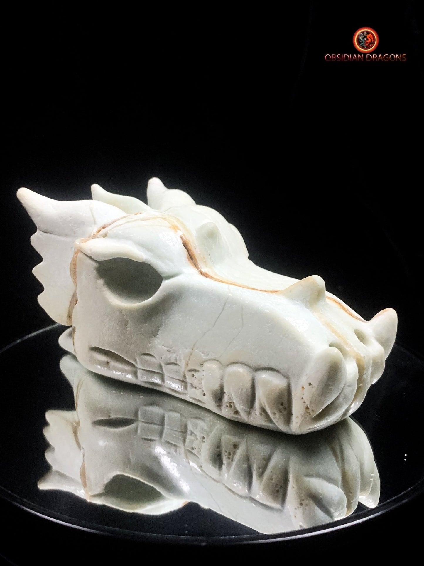 Crâne de dragon unique en aragonite- Méditation | obsidian dragons