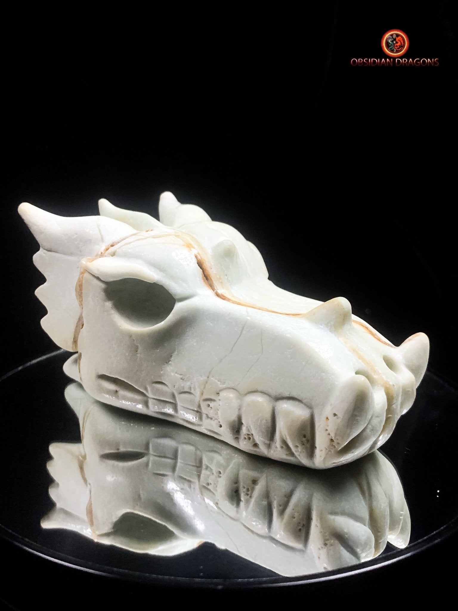 Crâne de dragon unique en aragonite- Méditation | obsidian dragons