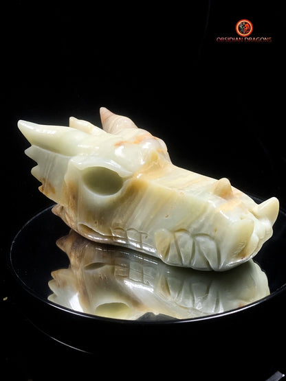 Crâne de dragon artisanal en aragonite- Méditation | obsidian dragons