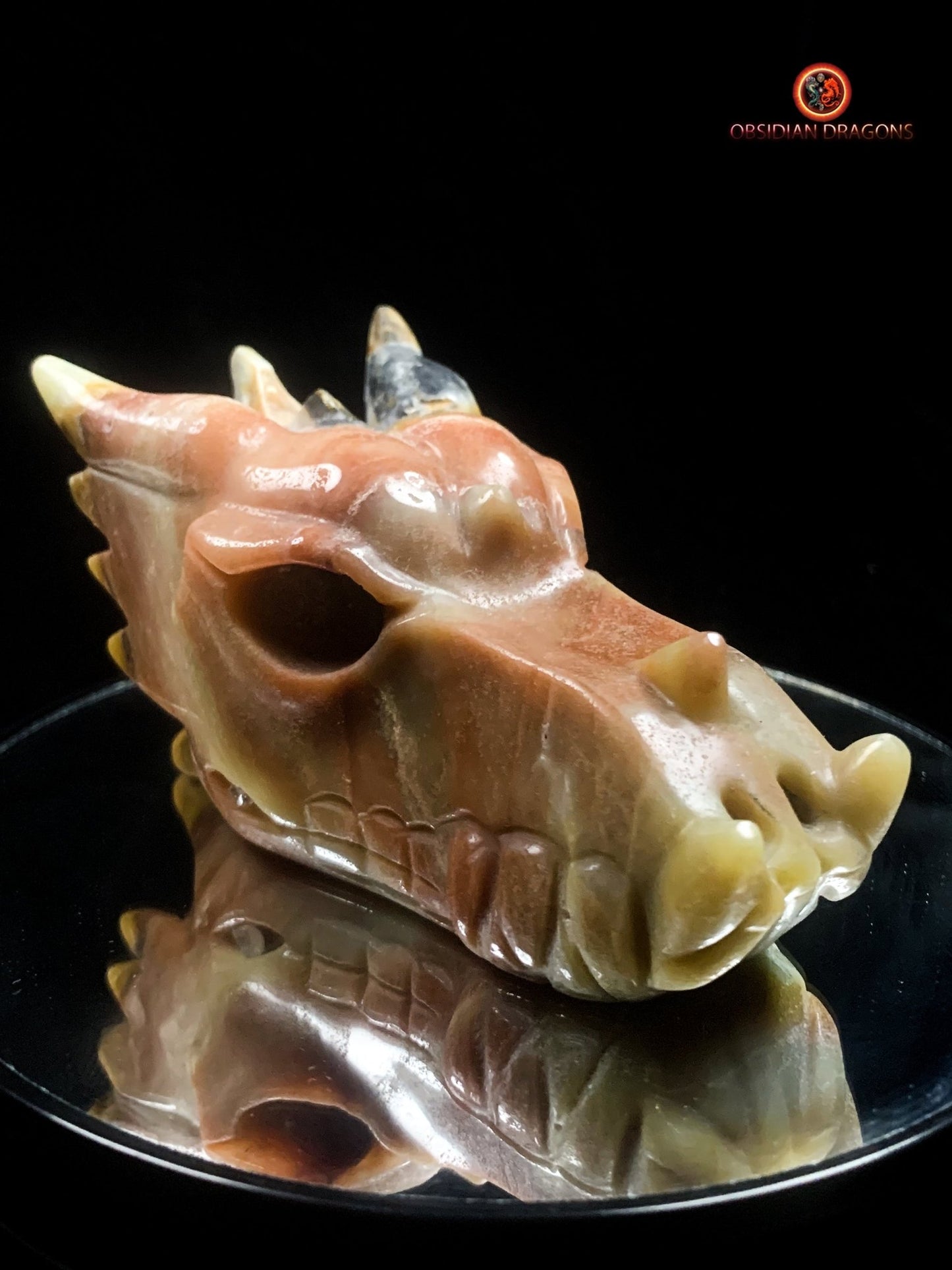 Crâne de dragon en aragonite- méditation draconique | obsidian dragons