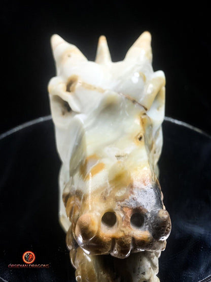 Crâne de dragon pour méditation- Aragonite | obsidian dragons