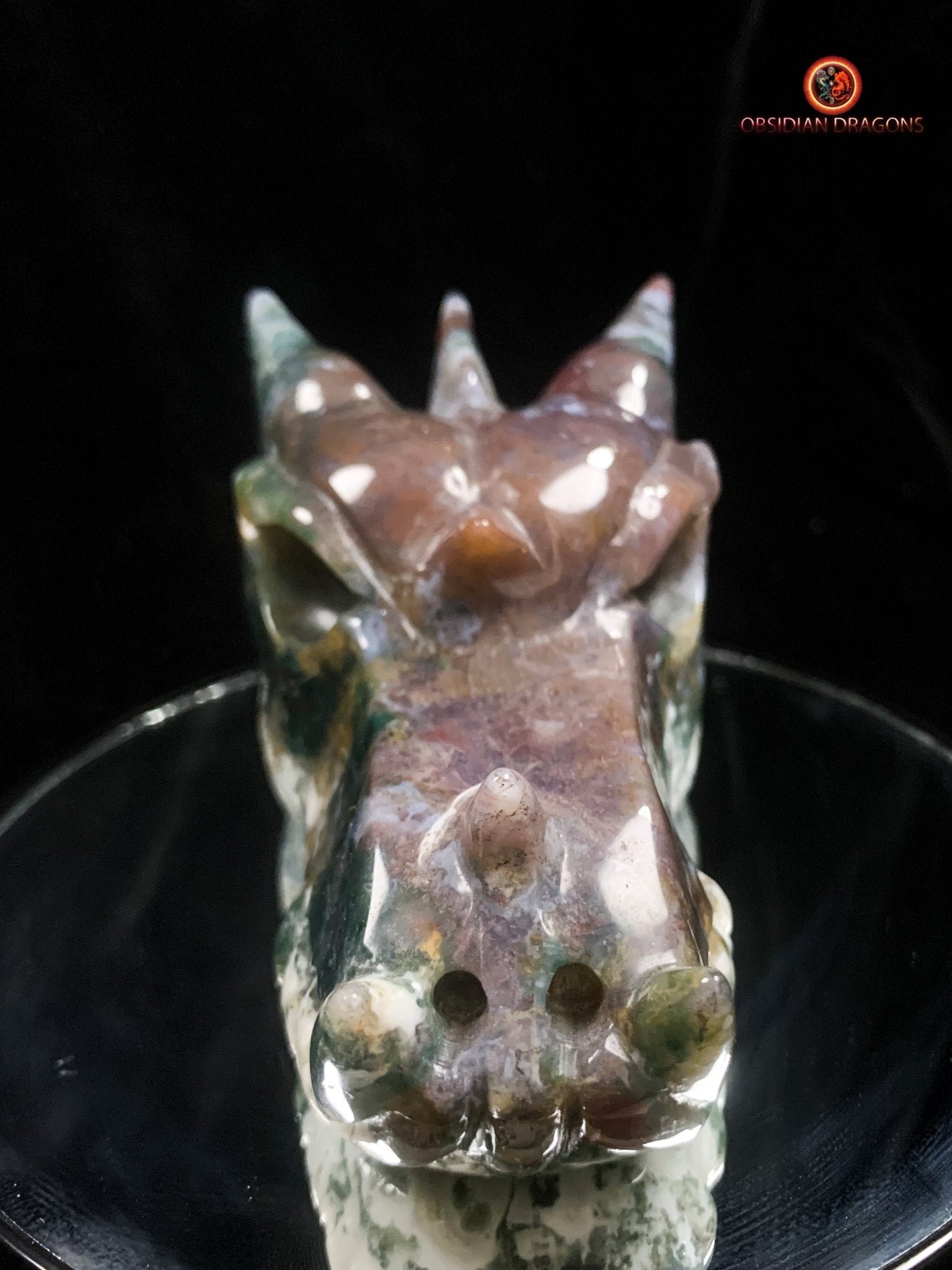 Grand crâne de dragon- Agate mousse d'indonésie | obsidian dragons