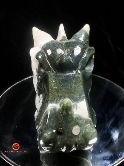 crâne de dragon massif- Agate mousse d'indonésie | obsidian dragons