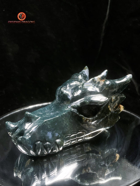 crâne de dragon- Agate mousse d'indonésie | obsidian dragons
