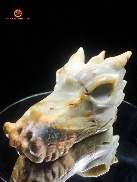 Crâne de dragon pour méditation- Aragonite | obsidian dragons