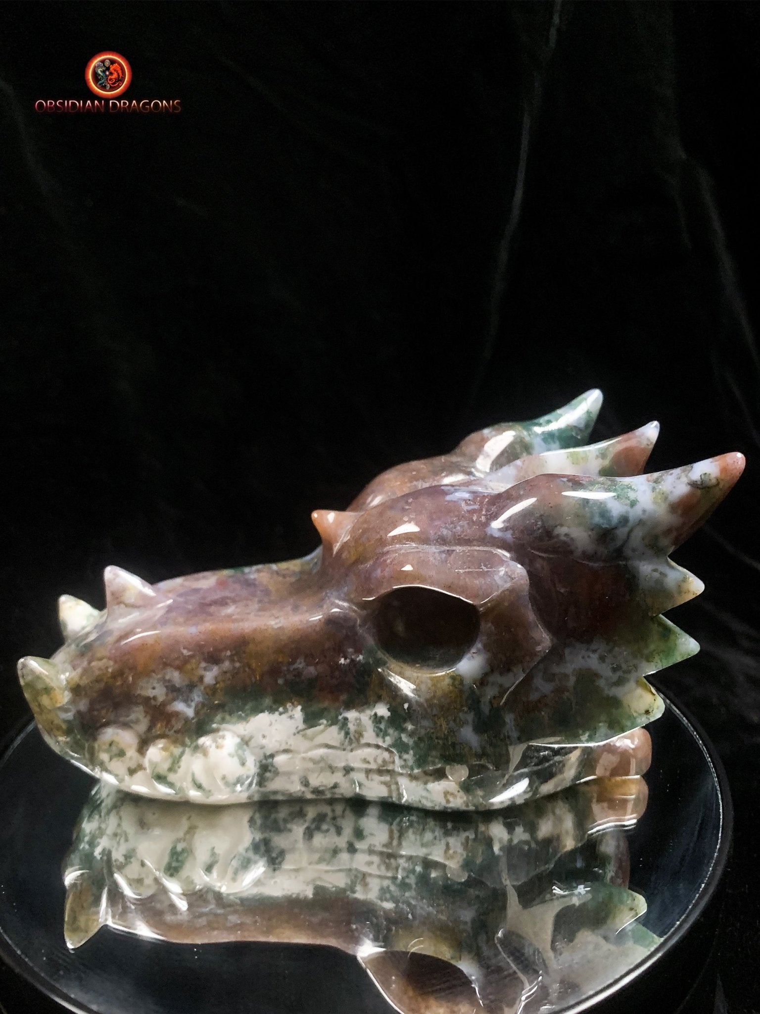 Grand crâne de dragon- Agate mousse d'indonésie | obsidian dragons