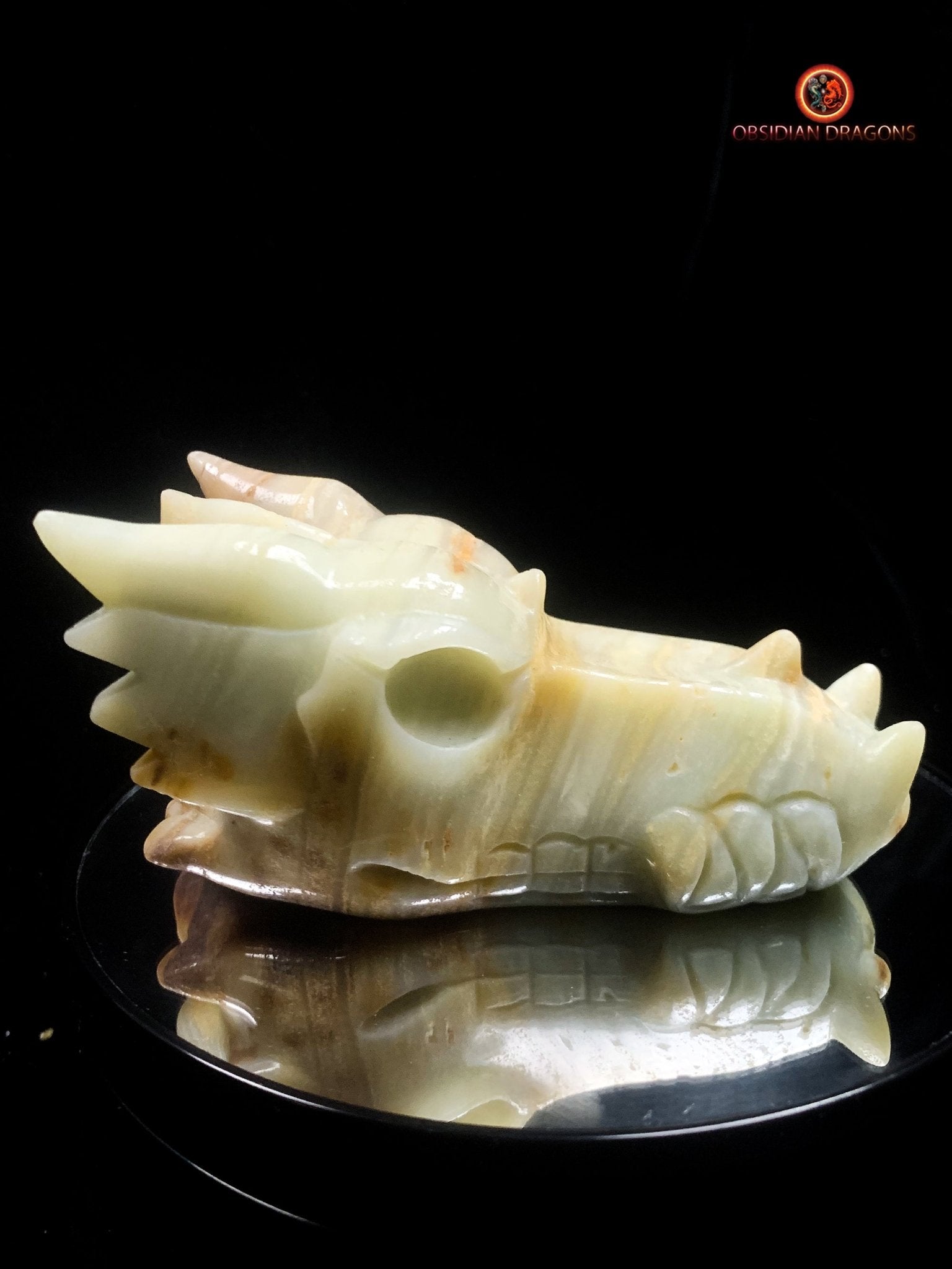 Crâne de dragon artisanal en aragonite- Méditation | obsidian dragons