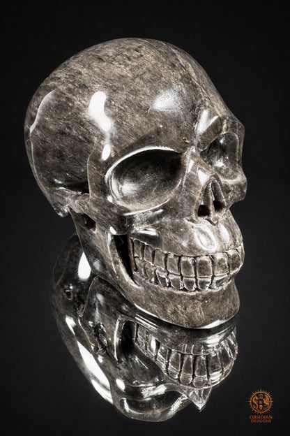 Grand crâne en obsidienne argentée du Mexique – 3 kg | obsidian dragons