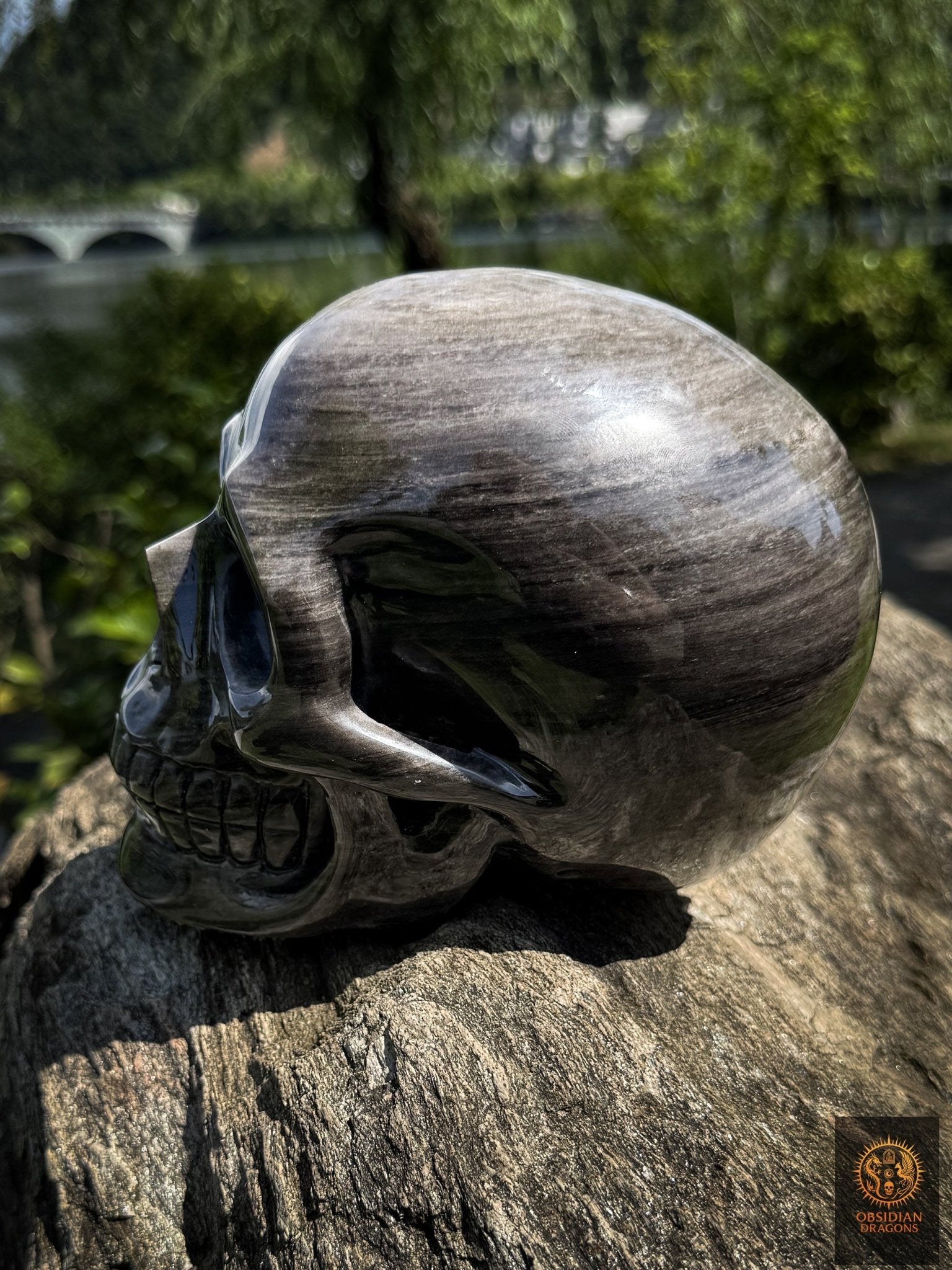 Grand crâne en obsidienne argentée naturelle – Crâne artisanal - obsidian dragons