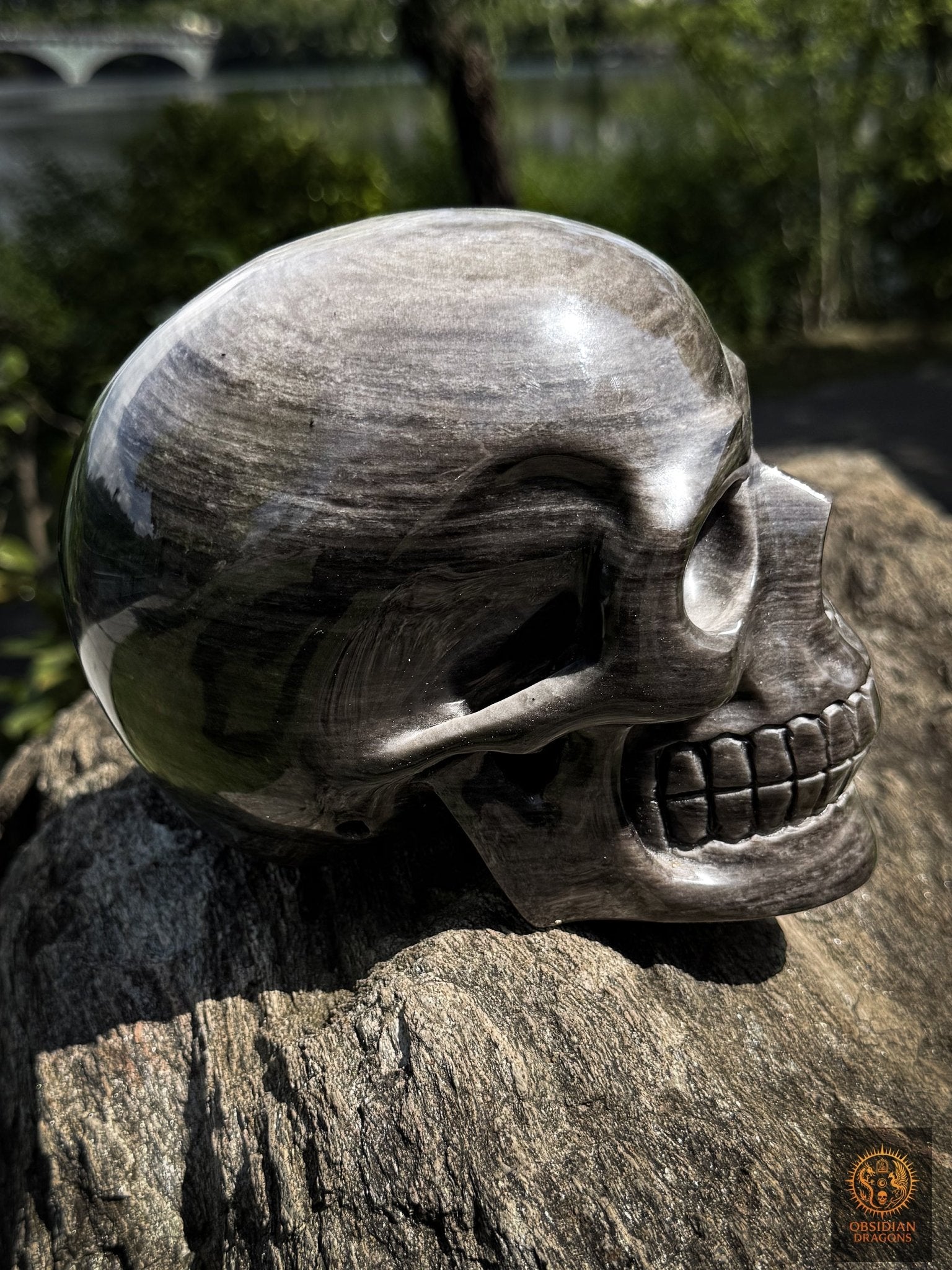 Grand crâne en obsidienne argentée naturelle – Crâne artisanal - obsidian dragons