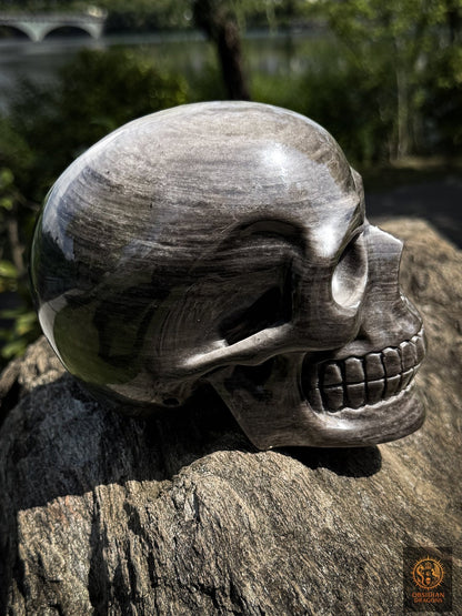 Grand crâne en obsidienne argentée naturelle – Crâne artisanal - obsidian dragons