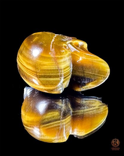 Pendentif crâne en œil de tigre naturel | obsidian dragons