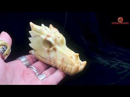 Crâne de dragon- Aragonite- Unique