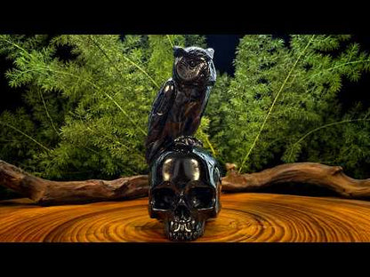 Crâne en obsidienne surmonté d'un hibou - Sculpture artisanale
