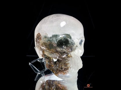 Crâne de Cristal Colossal en Quartz Lodolite – Exceptionnel