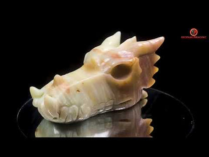 Crâne de dragon artisanal en aragonite- Méditation