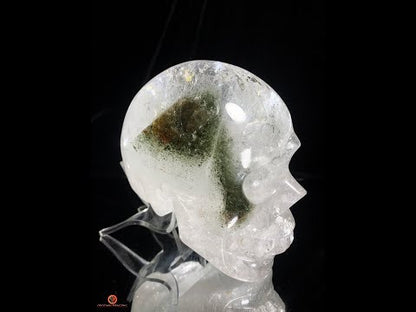 Crâne de Cristal en Quartz Lodolite – Crâne de collection
