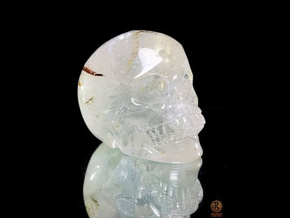 Crâne de Cristal en Cristal de Roche à inclusions de tourmaline