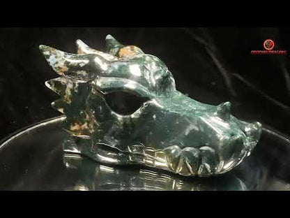 crâne de dragon- Agate mousse d'indonésie