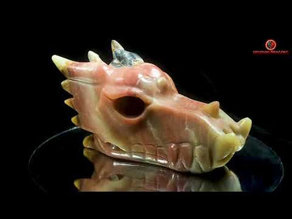 Crâne de dragon en aragonite- méditation draconique
