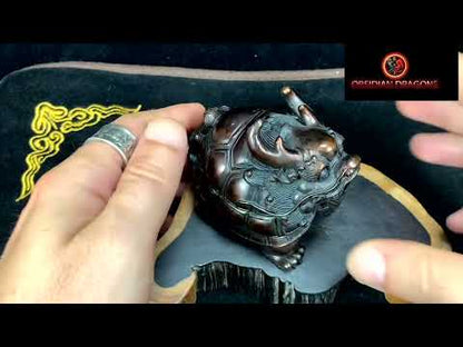 Statuette dragon tortue en Bronze - Protection Feng Shui