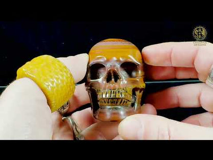 Crâne en œil de fer d’Australie (Tiger Iron) – Pièce unique