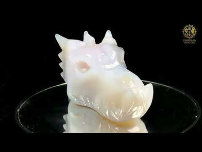 Crâne de Dragon en Calcédoine-  Géode- Halo Spirituel