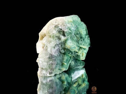 Crâne de Cristal en Fluorite Verte Brute – Harmonie & Clarté
