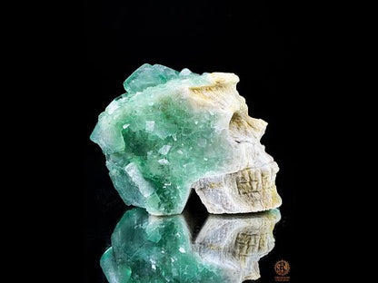 Crâne de Cristal en Fluorite Verte Brute – Clarté & Énergie