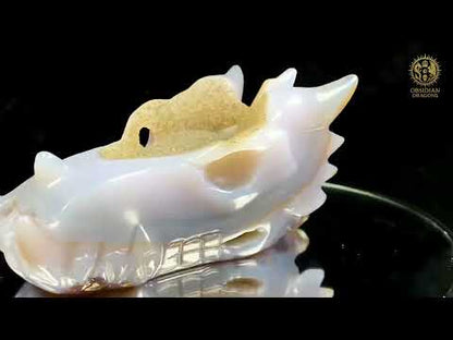 Crâne de Dragon en Agate – Géode de Quartz – Esprit des Brumes